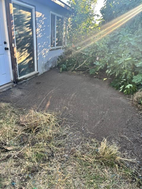 After junk removal — job 1